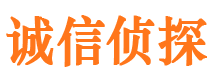 新民市私家侦探